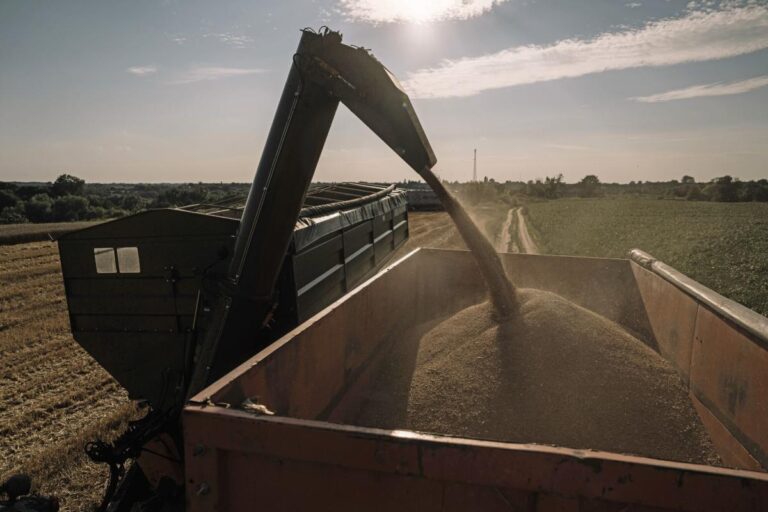 EU to impose tariff of up to 50% on Russia grain imports